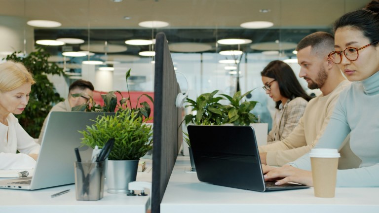 People working in a healthy work environment supporting each other's cultural values.